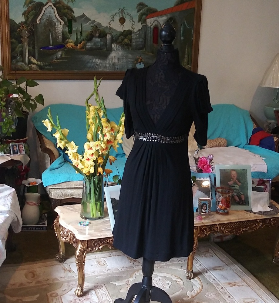 NWOT Shine New York Dress in Large